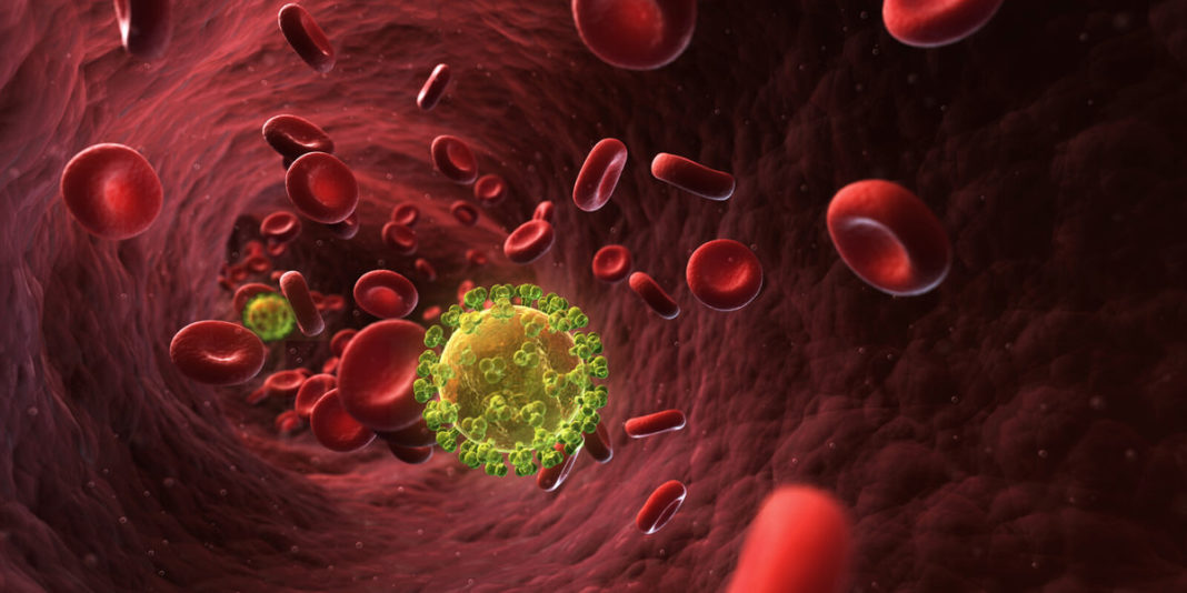 The HIV Lifecycle: How HIV Enters Our Body and Reproduces