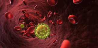 The HIV Lifecycle: How HIV Enters Our Body and Reproduces