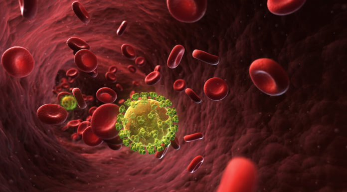 The HIV Lifecycle: How HIV Enters Our Body and Reproduces