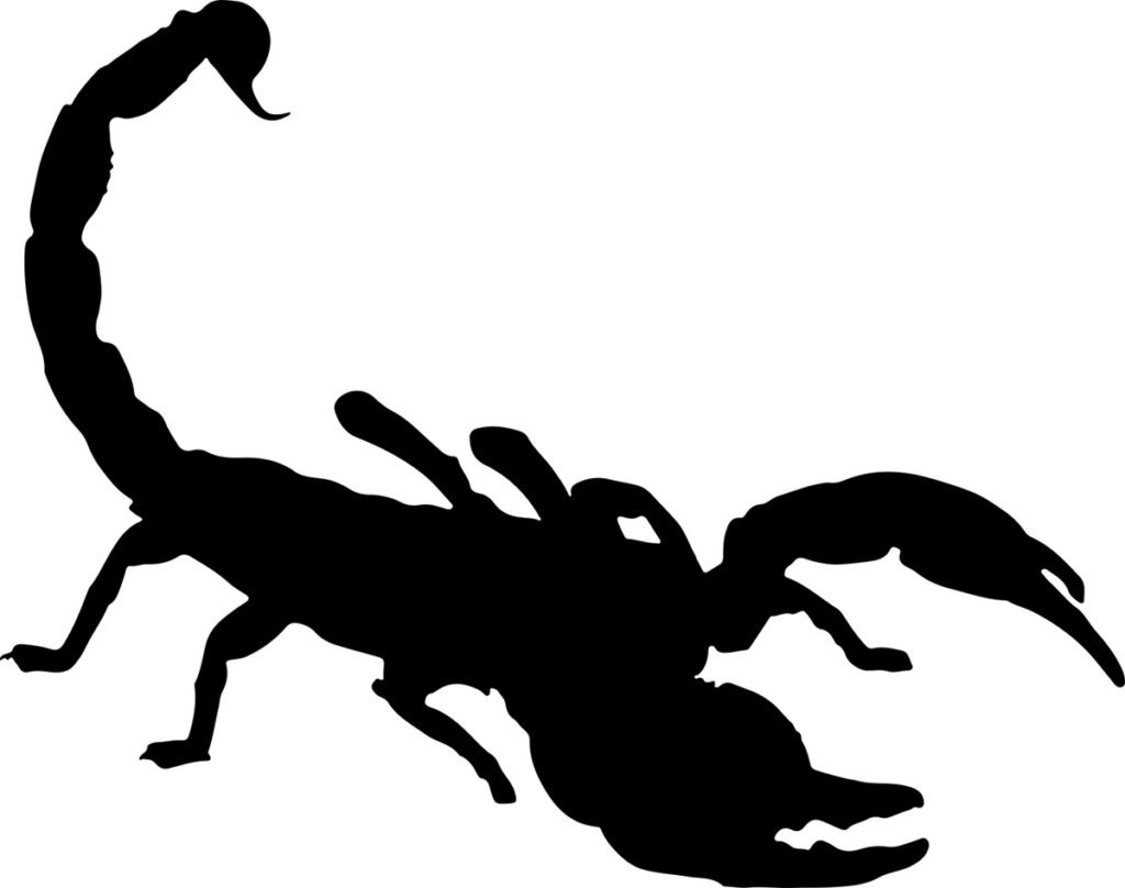 Scorpion Symbol / OpenClipart-Vectors from Pixabay.