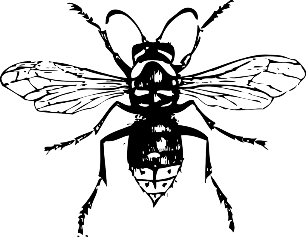 Wasp Symbol / Clker-Free-Vector-Images from Pixabay