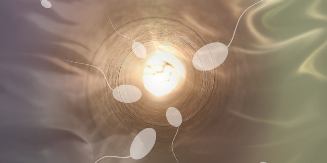 Ejaculate Fluids: The Power and Persuasion of Positive Semen