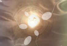 Ejaculate Fluids: The Power and Persuasion of Positive Semen