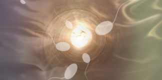 Ejaculate Fluids: The Power and Persuasion of Positive Semen
