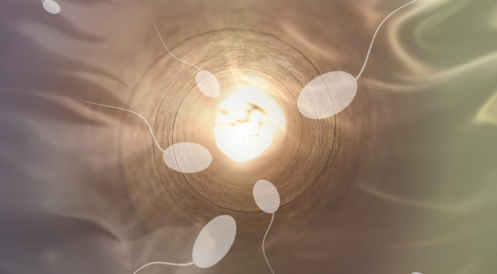Ejaculate Fluids: The Power and Persuasion of Positive Semen