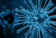 Different Strains: Types, Groups and Subtypes of HIV