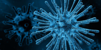 Different Strains: Types, Groups and Subtypes of HIV