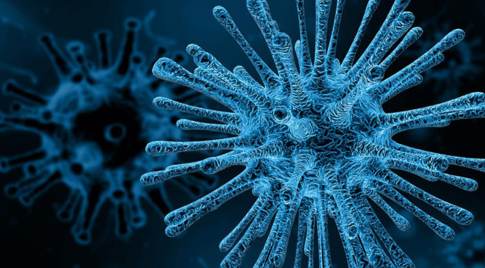 Different Strains: Types, Groups and Subtypes of HIV