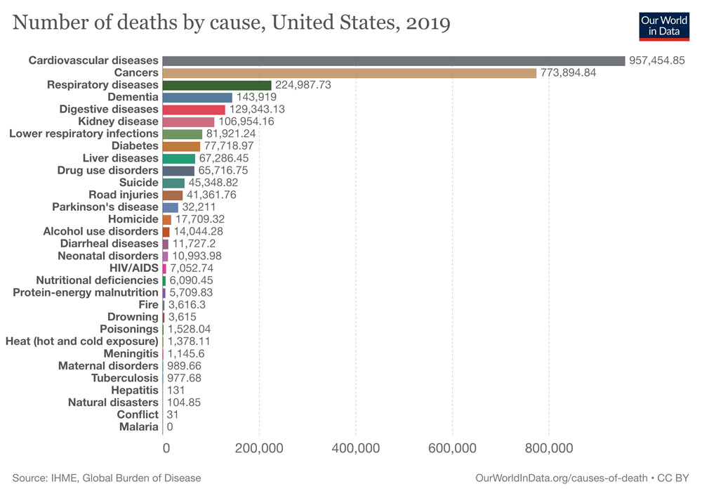 Number of Deaths by Cause (United States) 2019