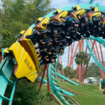 Bug Chasing can Create a Rollercoaster Ride of Different Emotions