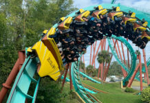 Bug Chasing can Create a Rollercoaster Ride of Different Emotions
