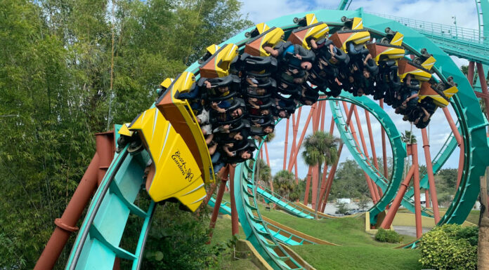 Bug Chasing can Create a Rollercoaster Ride of Different Emotions