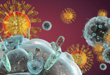 HIV Seroconversion Risk Factors and Fuck Flu Symptoms