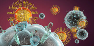 HIV Seroconversion Risk Factors and Fuck Flu Symptoms