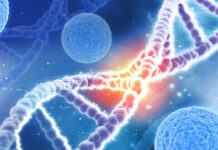 A Medical 1st Discovery Involving the 6th Person Cured of HIV