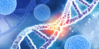A Medical 1st Discovery Involving the 6th Person Cured of HIV