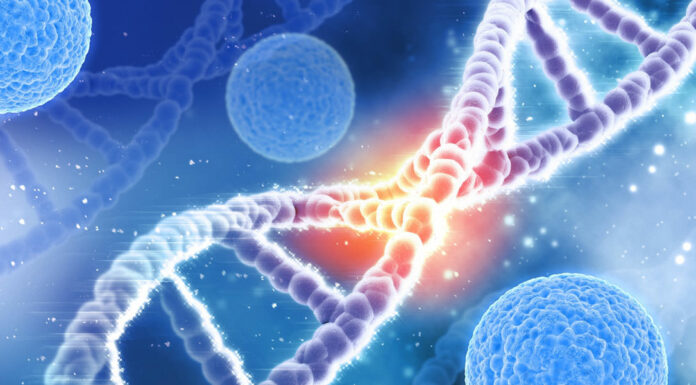 A Medical 1st Discovery Involving the 6th Person Cured of HIV